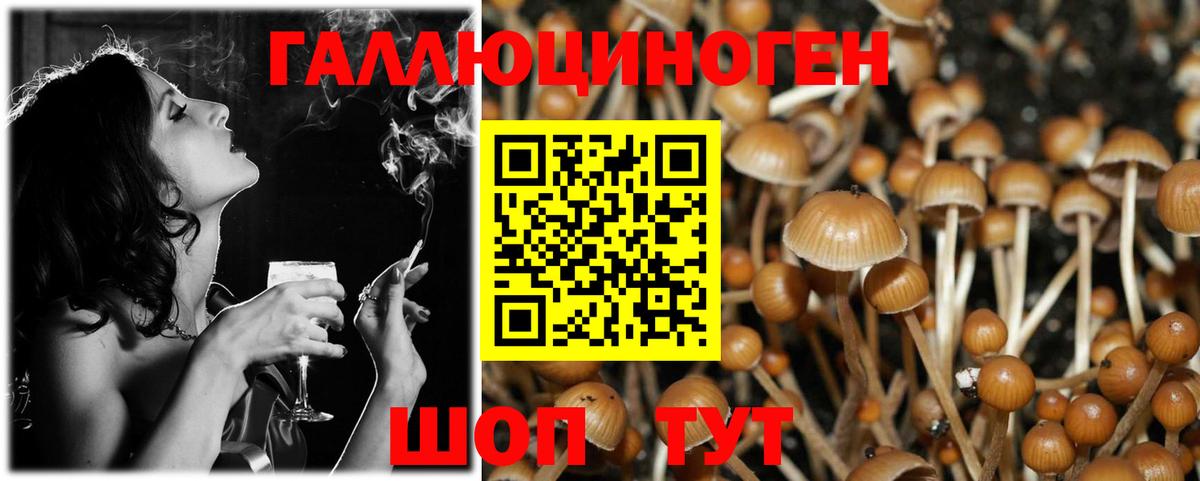 Псилоцибиновые грибы GOLDEN TEACHER  закладки  Кудымкар  Вход с VPN  Галлюциногенные грибы GOLDEN TEACHER 