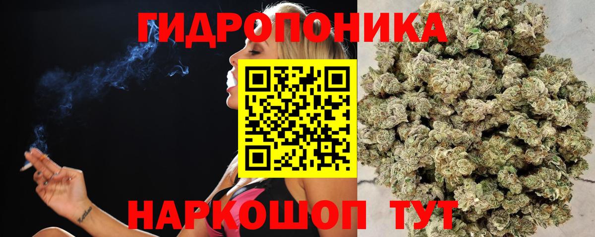 Конопля планчик  Марихуана Amnesia  Вход с VPN  Бошки Шишки семена  МАРИХУАНА план  Кудымкар 